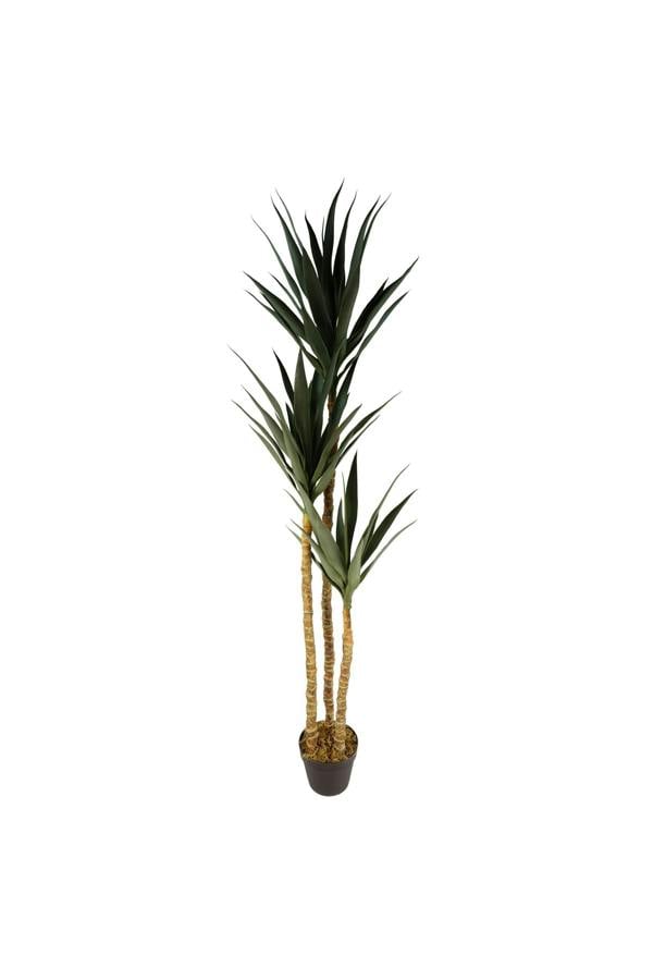Dyzi Large Artificial Yucca Plant 170cm Potted Tree