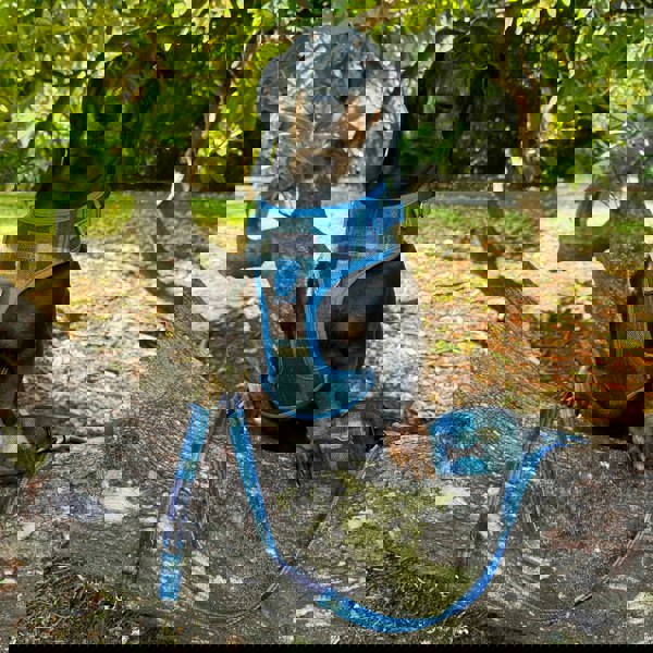 Heritage Traditions Heritage Hounds Tartan Poo Bag Holder