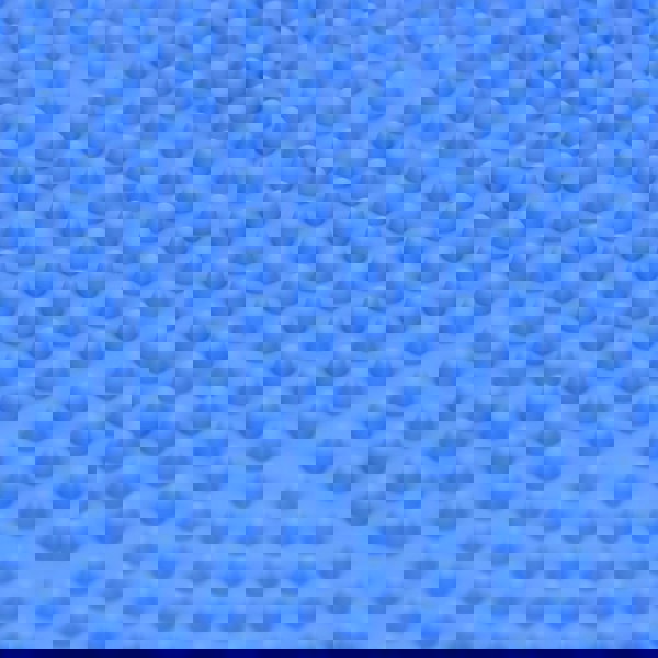 Phoenix Fitness Wobble Cushion - Blue