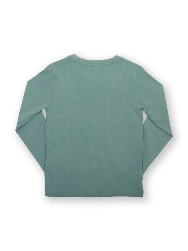 Kite Boys Organic Veggie Dinos T-Shirt