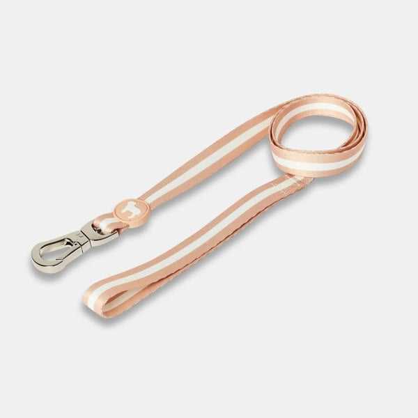 Champagne & White Stripe Nylon Dog Lead by Barc London