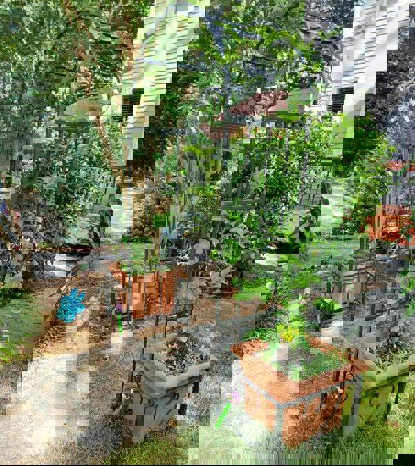 Gr8 Garden Metal Garden Patio Arch With Planters Rose Arbour Archway Climbing Plant Trellis