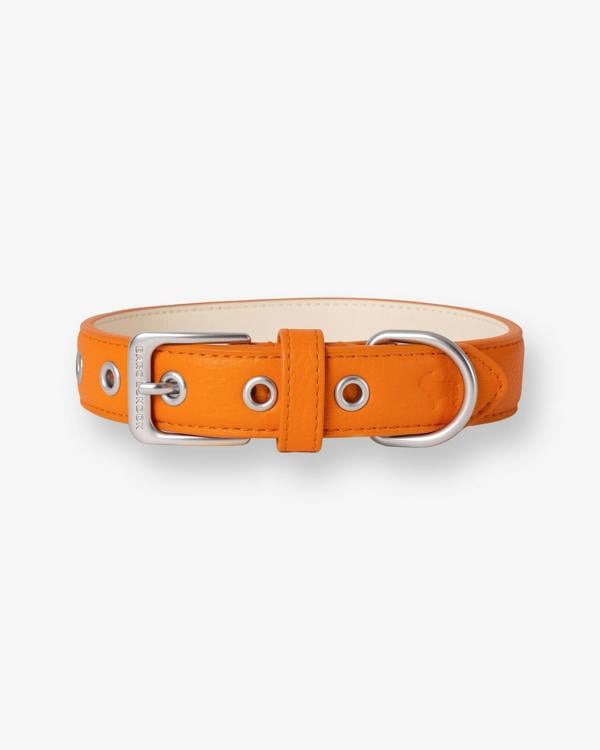 Barc London Mandarin Orange Dog Collar & Lead Set