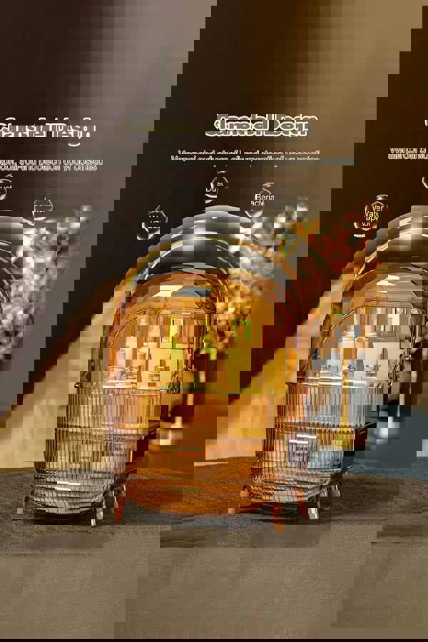 Living and Home Cosmetic Organizer Skincare Display Box With 2 Layers Of Storage Boxes For Dormitory & Bedroom Vanity Case