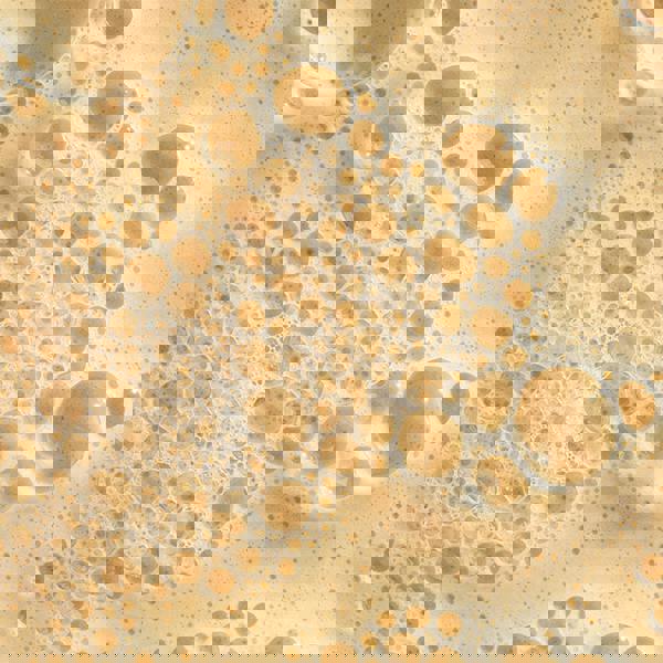 Dermalogica Starter Bundle