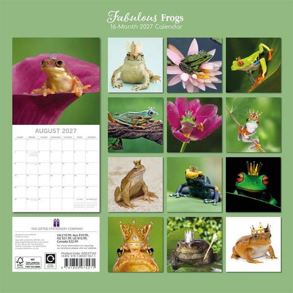 Fabulous Frogs Calendar 2027, Wall Calendars, Month To View, Humour, Gift