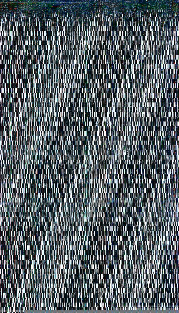 Cheetah Shimmer Tinsel Curtain, 3M x 1M Black