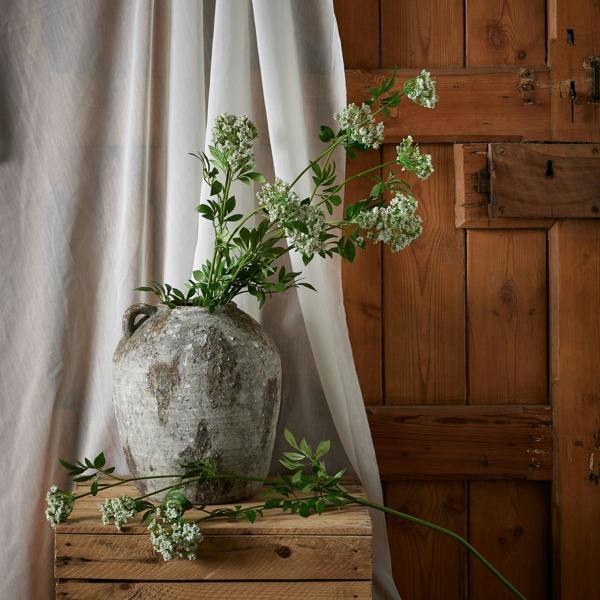 Wyld Haus Set of 3 Artificial Flowers Faux White Cow Parsley Ammi