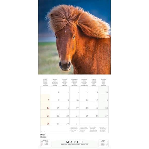 Magic Horses Calendar 2027, Wall Calendars, Month To View, Animals, Gift