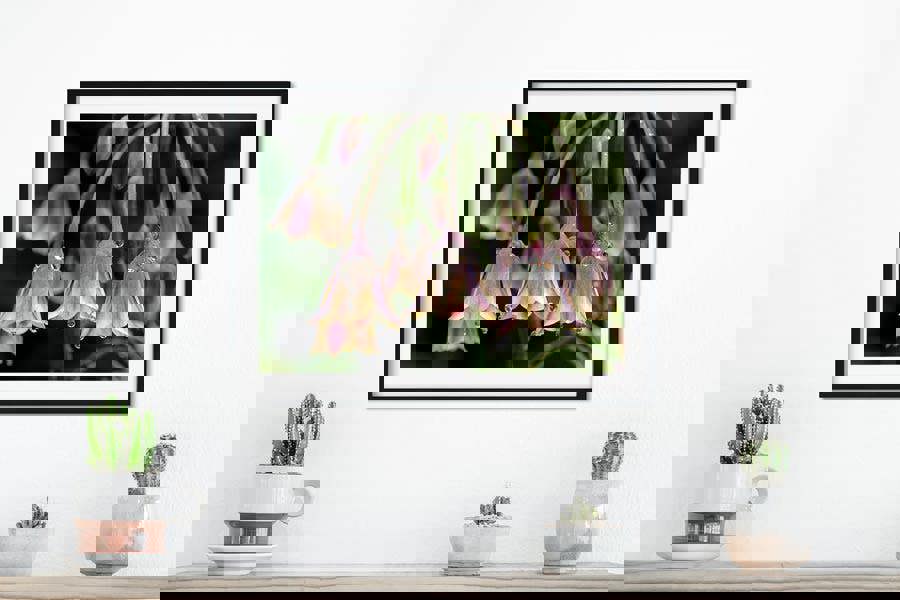 Rain Bells flower art print