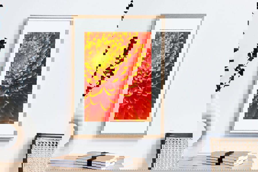 fine art photographic print of orange gebera flower