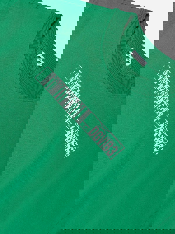 Dolce & Gabbana Kids Dolce & Gabbana Boys DG Vibe Sweatshirt in Green