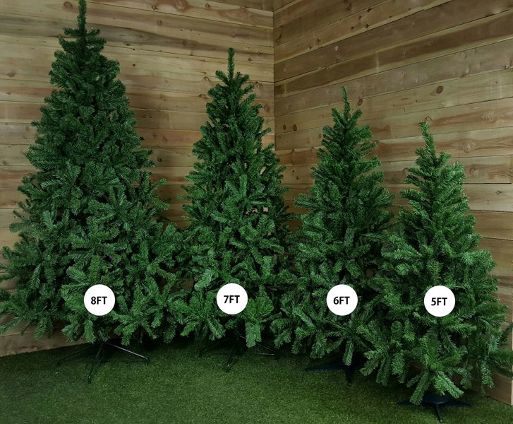 Samuel Alexander 5ft Colorado Spruce Christmas Tree in Green with 337 tips 86cm Diameter