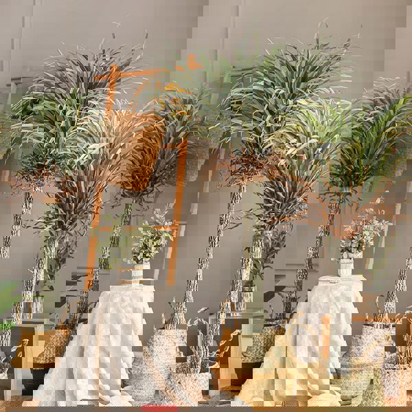 RG93 Artificial Plant-Weilai Concept-Weilai Concept