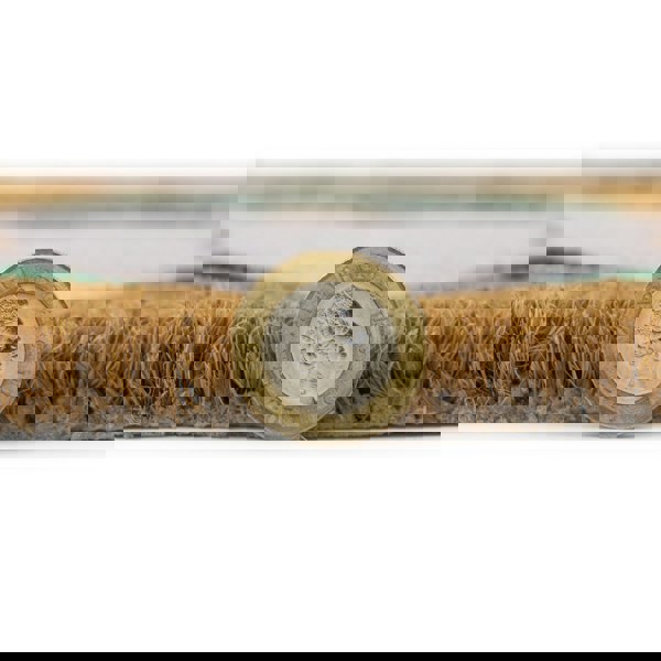 JVL Eco-Friendly Latex Backed Coir Entrance Doormat, 45x75cm - Gardening Gonks