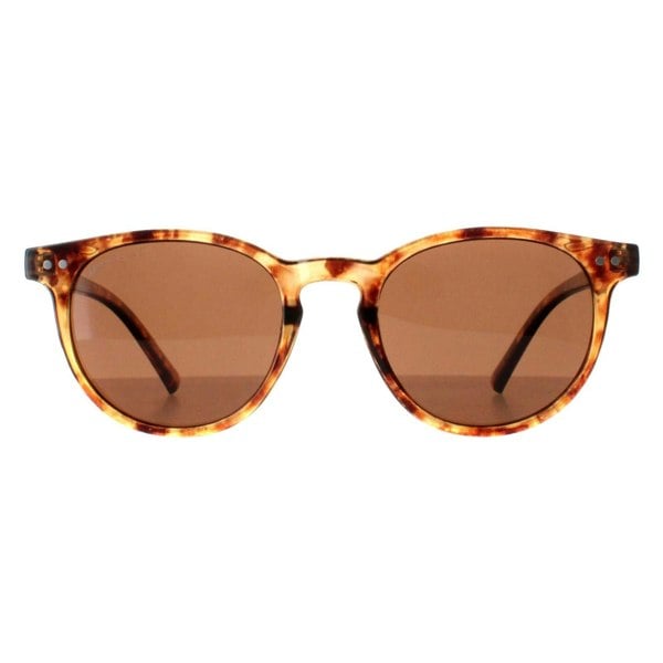 Montana Sunglasses MP75 C Shiny Havana Soft Demi Brown Polarized
