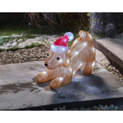 MySmartBuy InLit Ice SantaPuppy Play