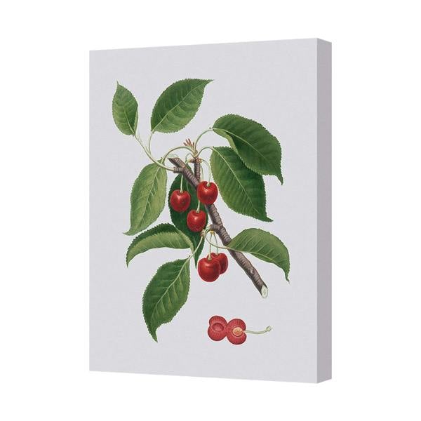 Benjamin Tate Design Cherries On Branch Botanical Canvas Art Print In Deep Wooden Frame