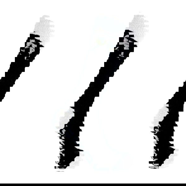 t4option1_2