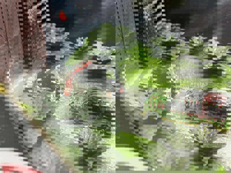 Jada Jurassic Park Nano Scene Jada 253252028 34244