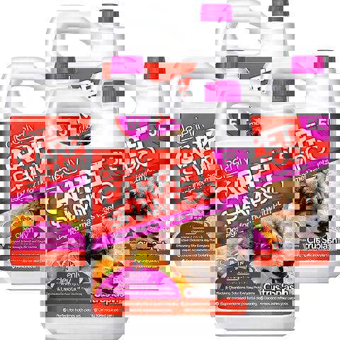 Cleenly Pet Carpet Shampoo Cleaner Solution (20 litres) - Citrus Splash Fragrance - Safe for All Carpet Cleaning Machines