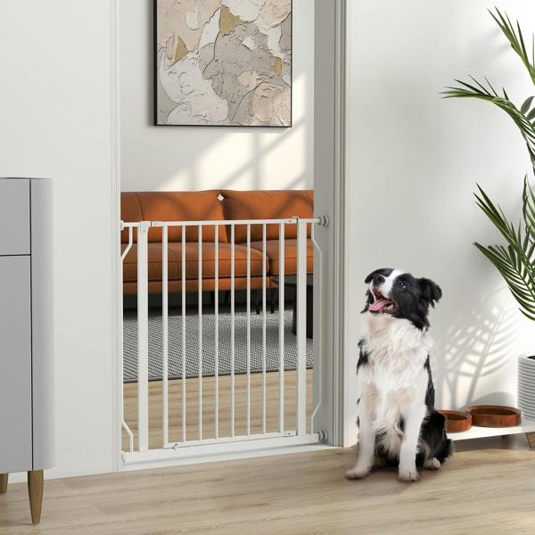 Pet Gate