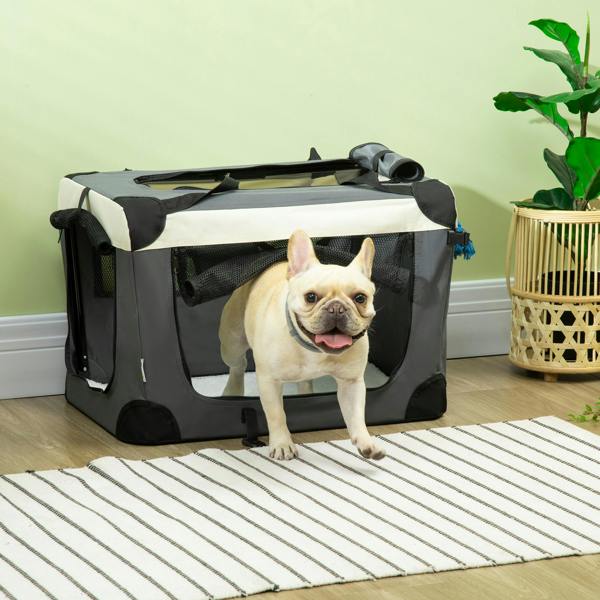 Pet Carrier Bag