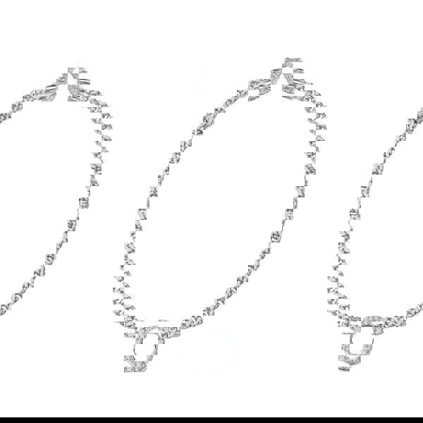 Archangel Choker™ in Sterling Silver  | BLOOMTINE