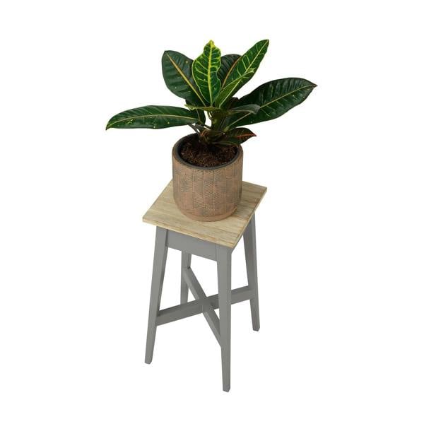 Statement Furniture Florence Wooden Plant Stand Plant Holder 50cm Tall ASSEMBLED