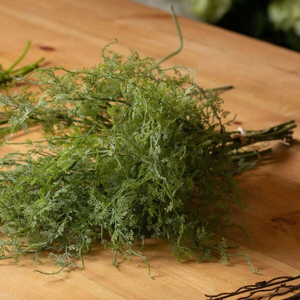 Wyld Haus Set of 3 Artificial Flowers Asparagus Fern Bunches