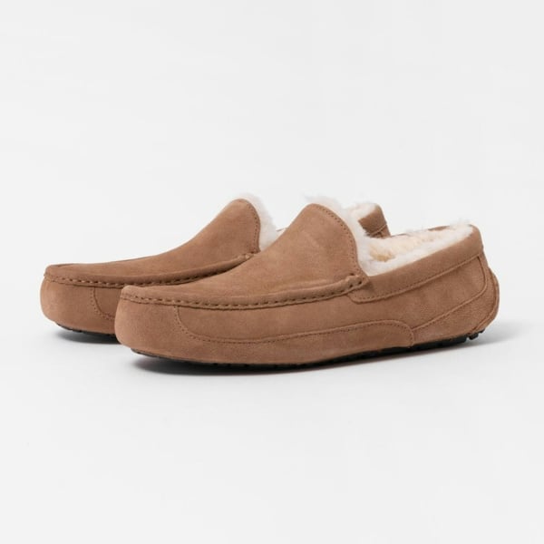 UGG Ascot Mens Slipper - Chestnut