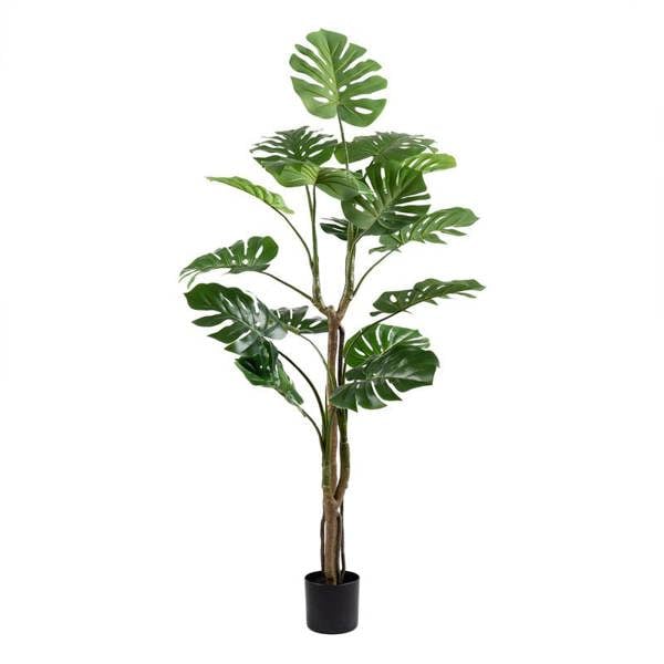 Scottish Everlastings 160cm Real Touch Monstera