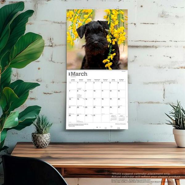 Miniature Schnauzers Calendar 2027, Wall Calendars, Month To View, Dogs, Gift