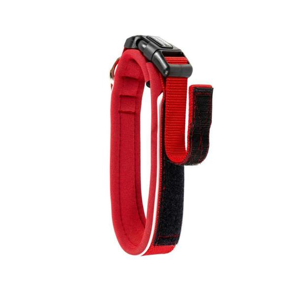 EzyDog Neo Classic Dog Collar in Red