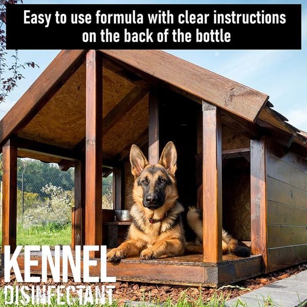 Ultima Plus XP ULTIMA-PLUS XP Kennel Kleen - Disinfectant, Cleaner, Sanitiser & Deodoriser 10L Bubblegum Scent