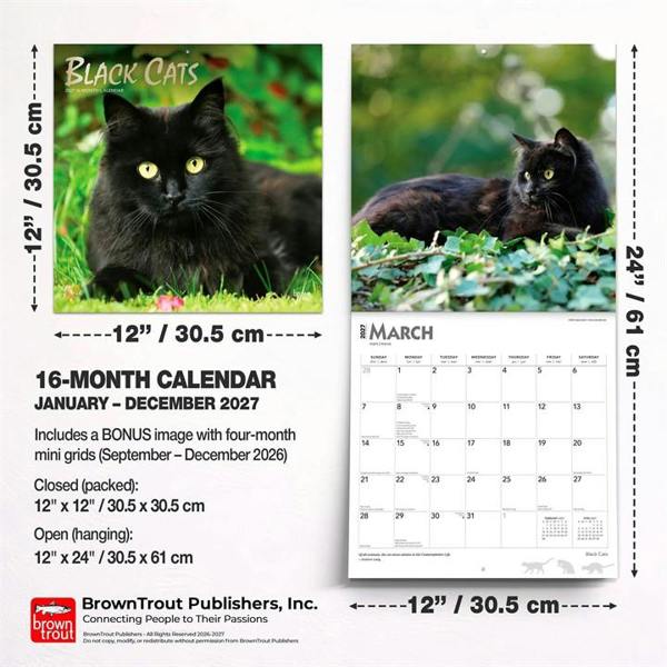 Black Cats Calendar 2027, Wall Calendars, Month To View, Cats, Gift