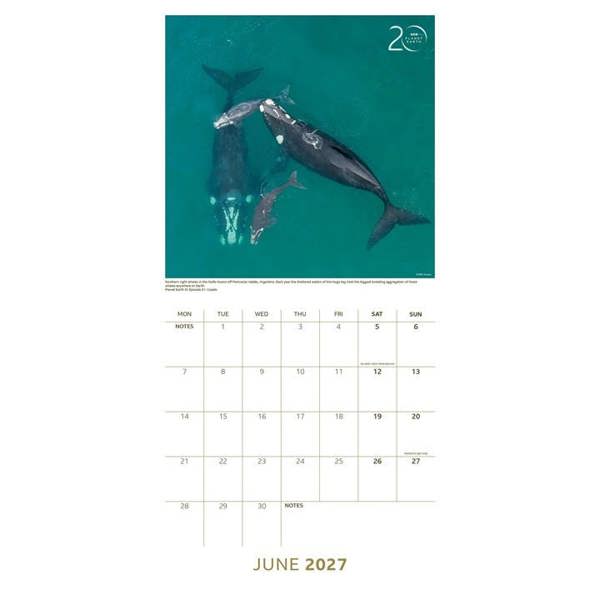 BBC Planet Earth Calendar 2027, Wall Calendars, Month To View, Natural World, Gift