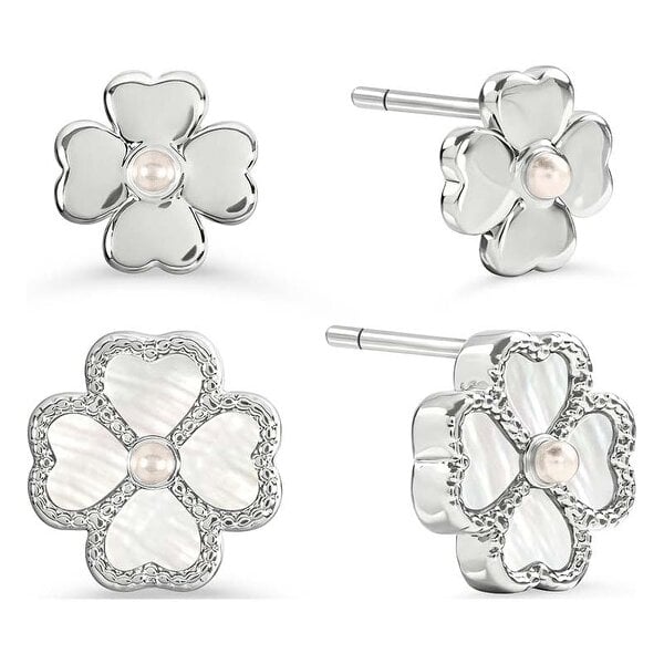 Radley Earrings Gift Set RYJ1563S