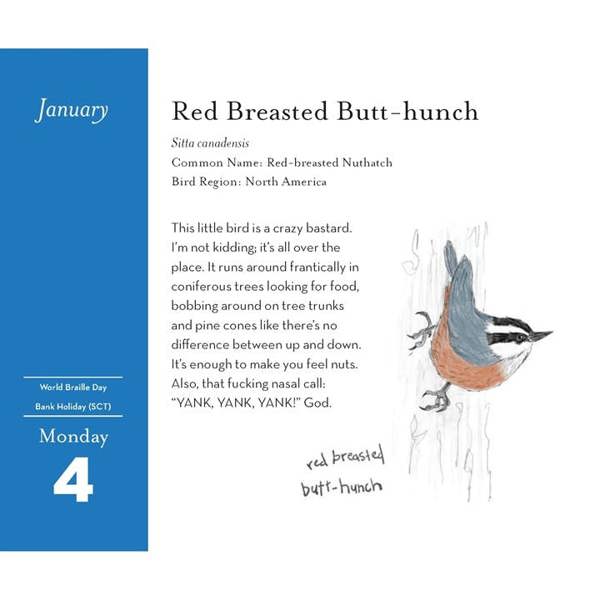 Chronicle Books The Field Guide To Dumb Birds Desk Calendar 2027, Desk Calendars, Day To View, Animals, Gift
