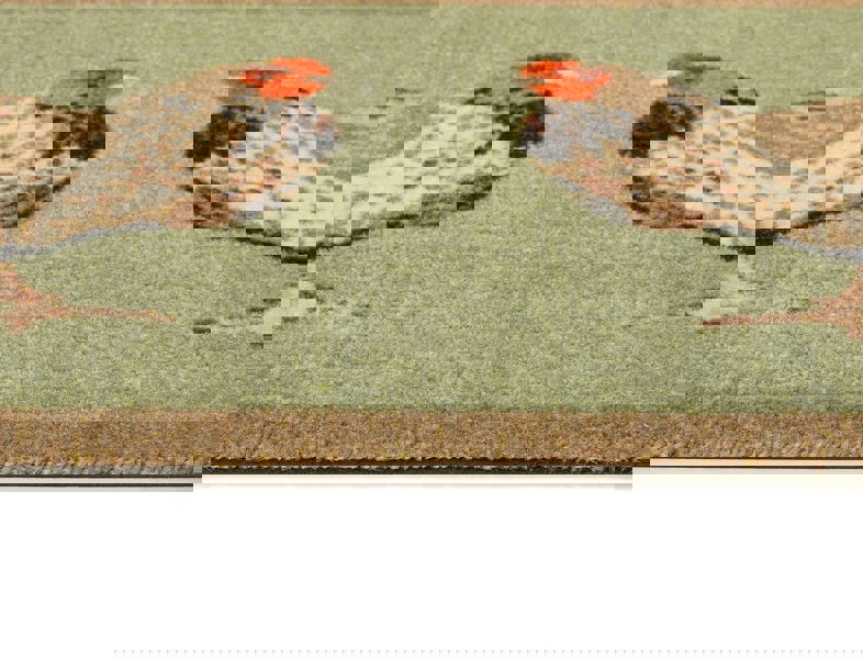 My Mat Nylon - My Chickens