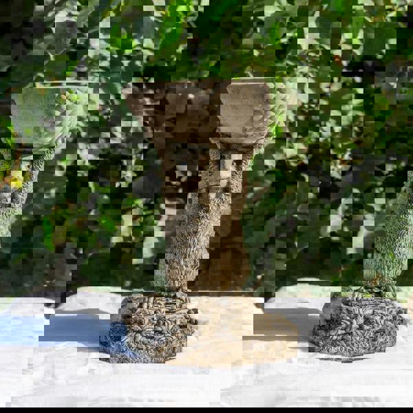 Small Adorable Squirrel And Nut Design Stonecast Bird Bath