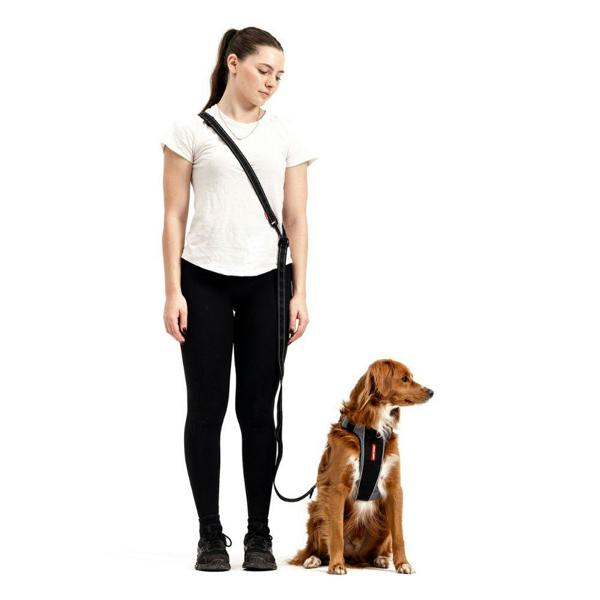 EzyDog Vario 6 Multifunctional Dog Lead in Black