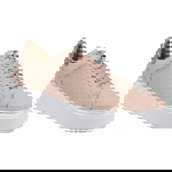 Hush Puppies Camille Lace Cupsole Women's Trainers in Blush