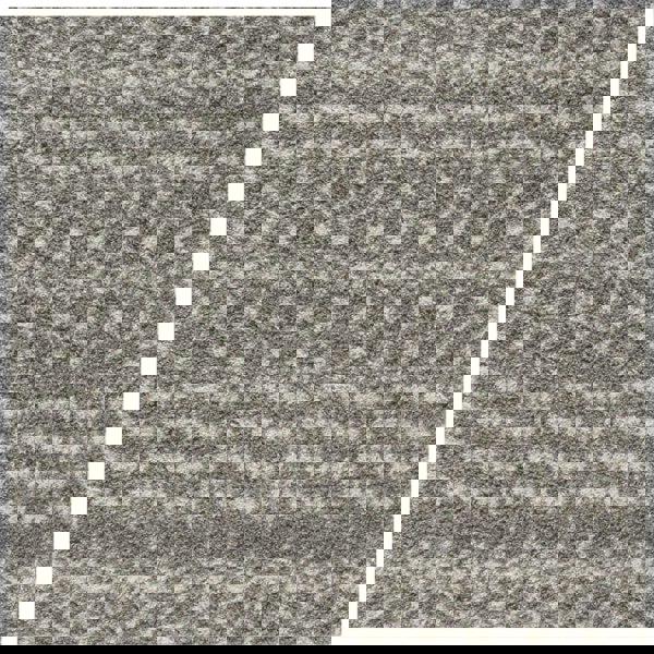 Moroccan-style thick shaggy rug pet-friendly, easy to clean