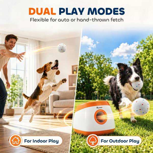 Pet Ball Toys