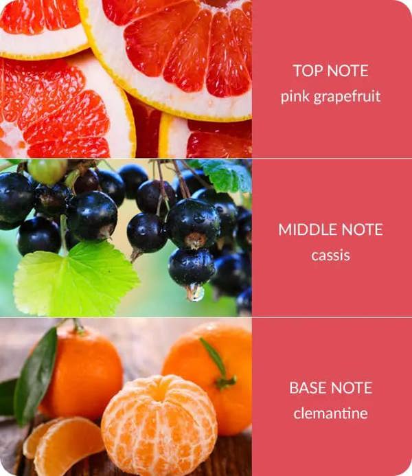 Heart & Home Pink Grapefruit & Cassis - Wax Melt