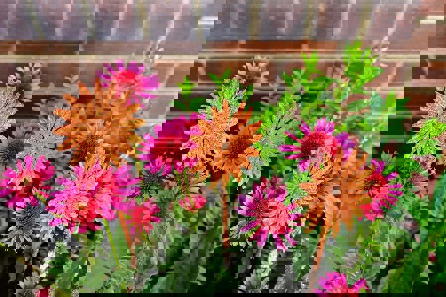 Rusty Metal Flower Garden Sculpture