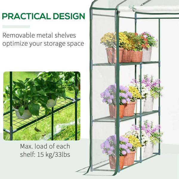 Walk-in greenhouse with green shelves, clear cover, loaded 3-tier storage for plants