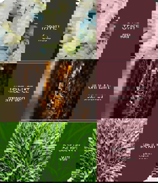 BAMBOO Amber Wood & Vetiver - Large Bamboo Fragrance Diffuser