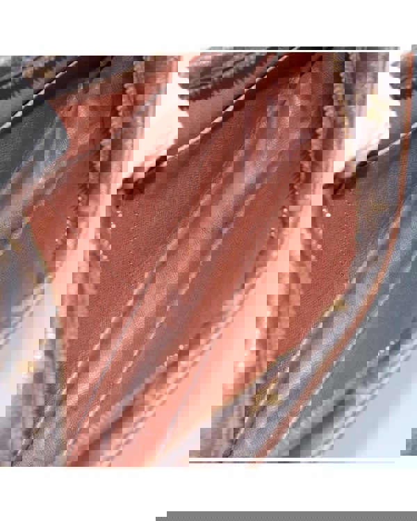 201934280.jpg